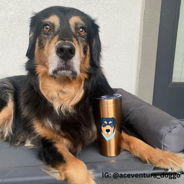 Dog Travel Tumbler (Stainless Steel)