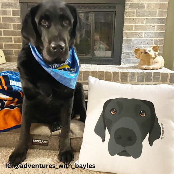 Dog Pillow Case/Pillow