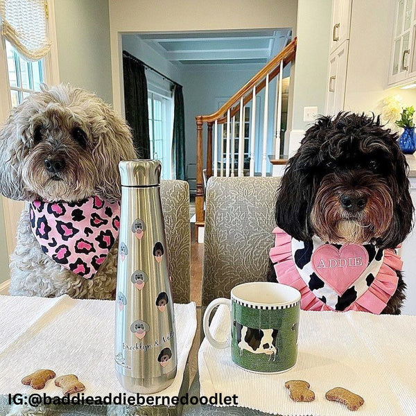 Dog Water Bottle (Stainless Steel)