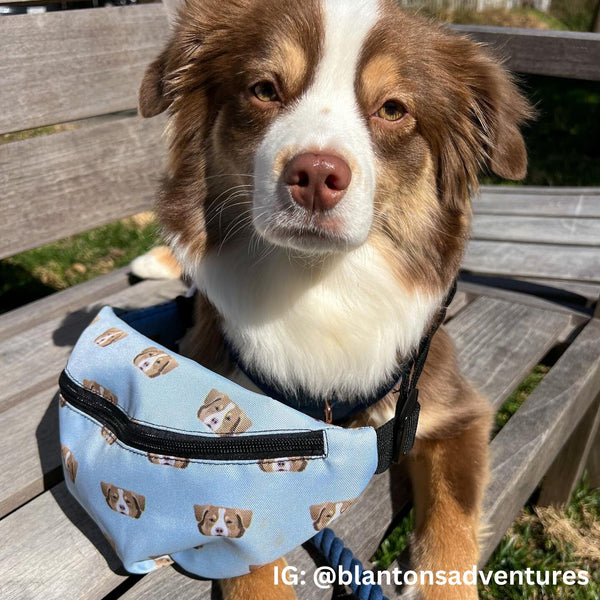 Dog Fanny Pack