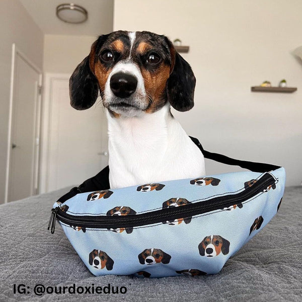 Dog Fanny Pack
