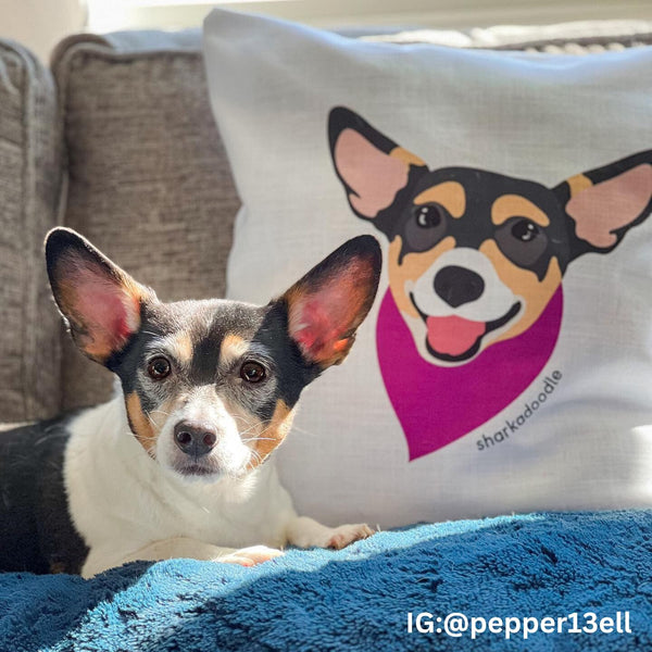 Dog Pillow Case/Pillow