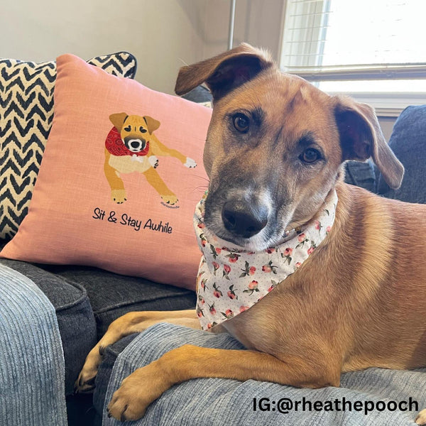 Dog Pillow Case/Pillow