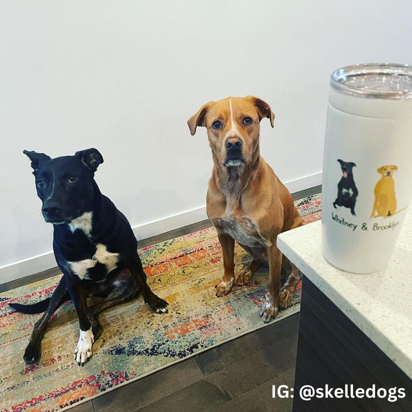 Dog Travel Tumbler (Stainless Steel)