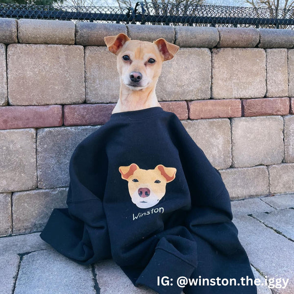 Dog Sweatshirt