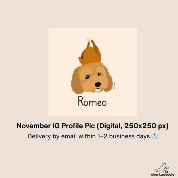 Insta Festive Profile Pics