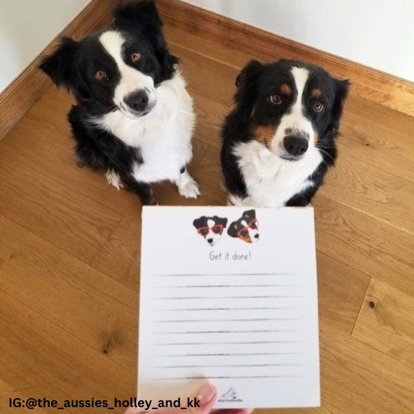 Dog Notepad