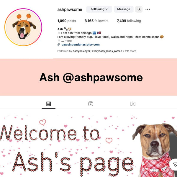 Insta Festive Profile Pics