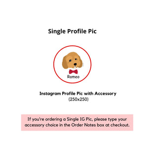 Insta Pup Profile Pic – Fun Accessory