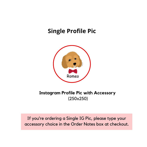 Insta Pup Profile Pic – Fun Accessory