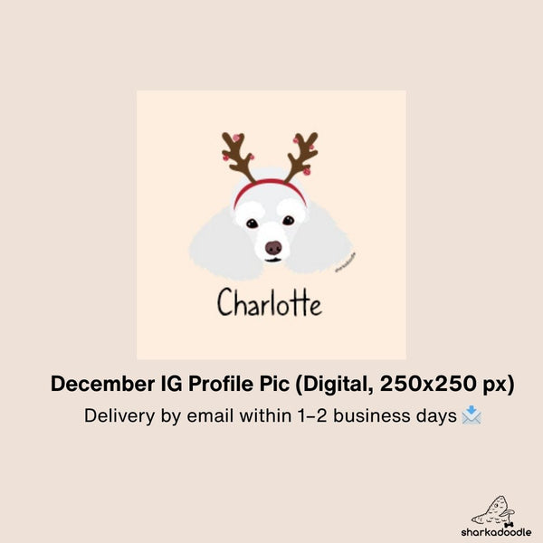 Insta Festive Profile Pics