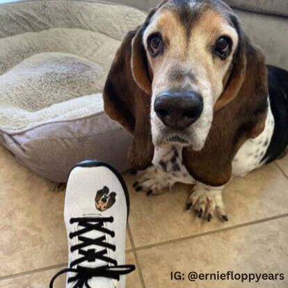 Athletic Shoes