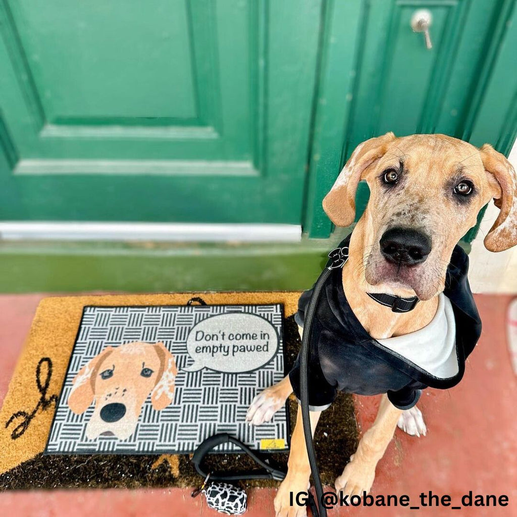 Dog Doormat – Sharkadoodle