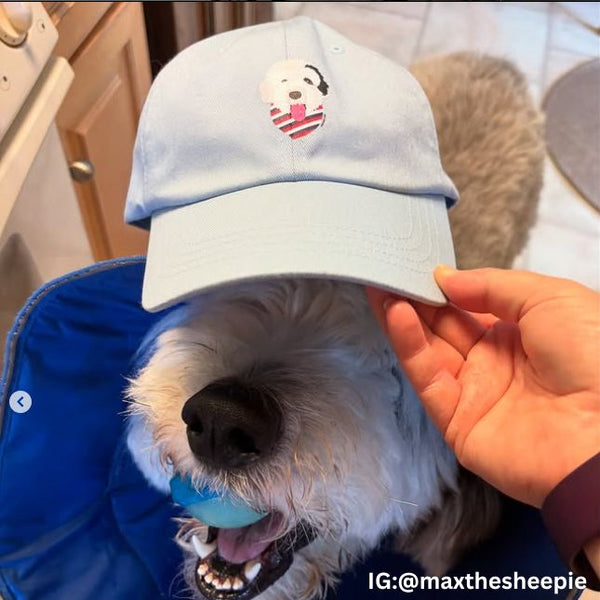 Dog Hat