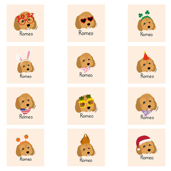 Insta Festive Profile Pics