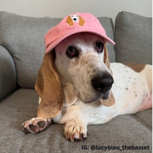 Dog Hat